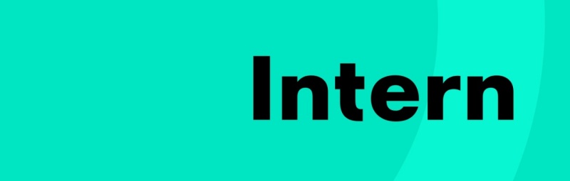 PUBLICIS SAPIENT SOFTWARE ENGINEER INTERN visual data 8